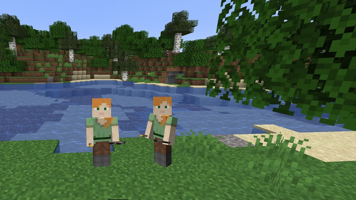 Minecraft Multiplayer